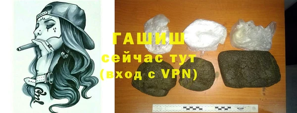гидра Богданович
