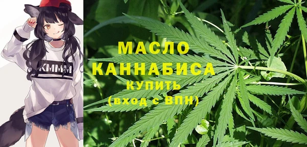 гидра Богданович