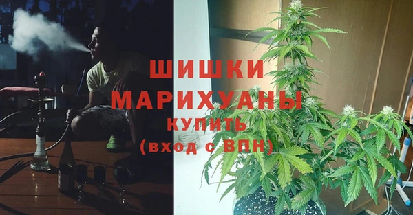 гидра Богданович