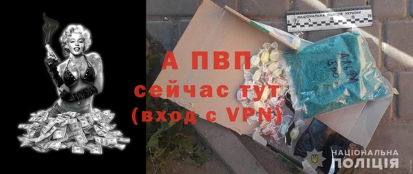 PSILOCYBIN Белоозёрский